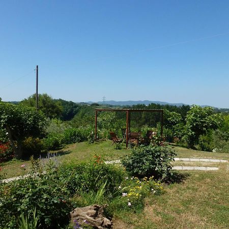 Agriturismo Poggio Al Tesoro Crespina Екстериор снимка