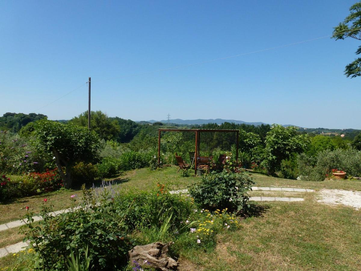 Agriturismo Poggio Al Tesoro Crespina Екстериор снимка