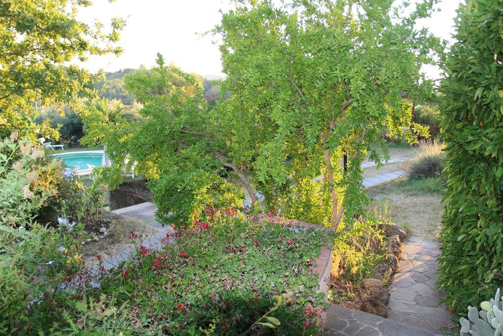 Agriturismo Poggio Al Tesoro Crespina Екстериор снимка