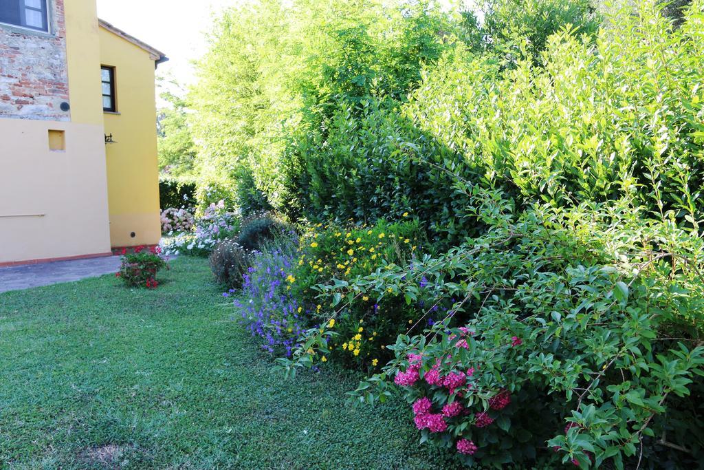 Agriturismo Poggio Al Tesoro Crespina Екстериор снимка